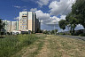 В Энгельсе появится первая площадка для выгула собак  